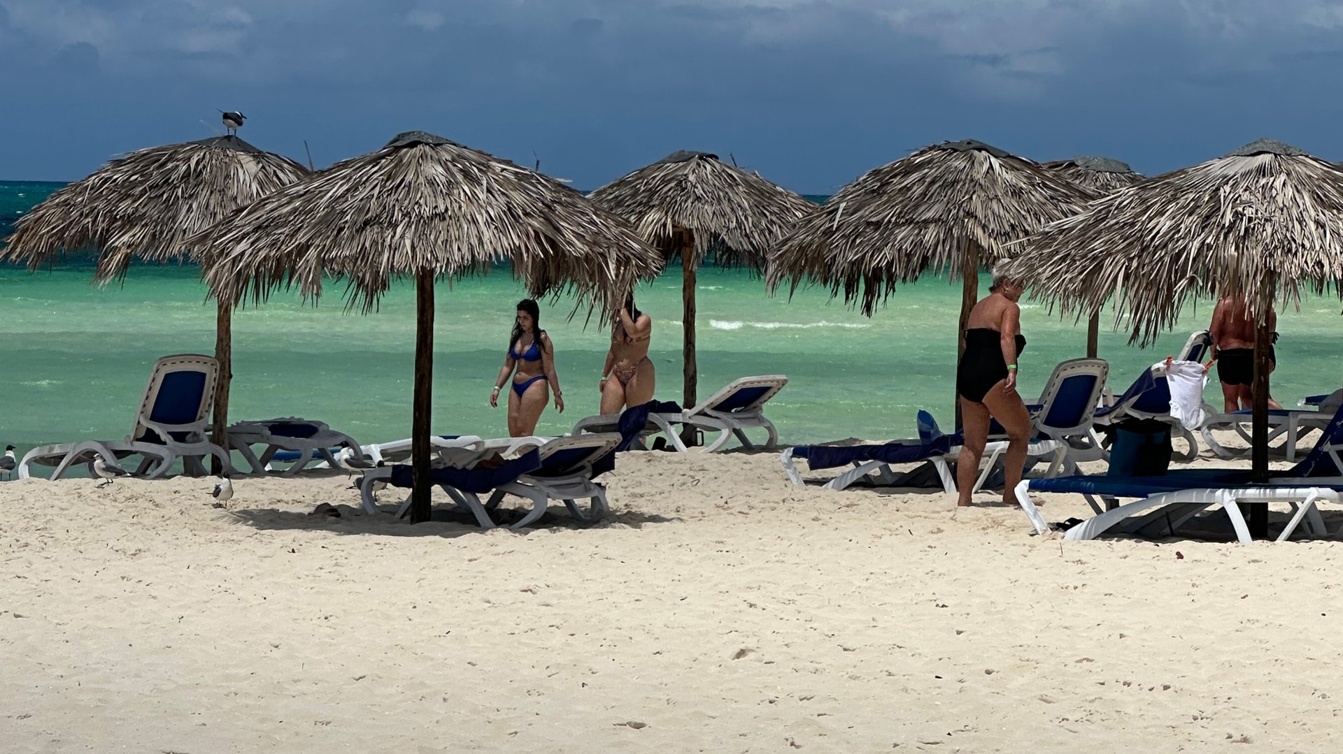 КУБА 2025/ОБЗОР НОМЕРА В ОТЕЛЕ MEMORIES FLAMENCO / ОСТРОВ КАЙО - КОКО 🇨🇺 смотреть онлайн