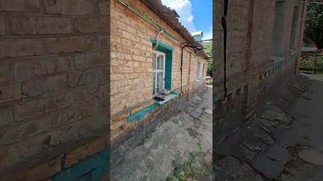 4490918 1 смотреть онлайн