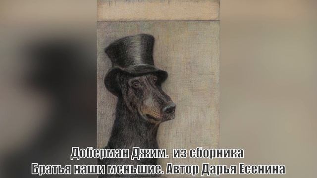 Собаки знаменитых людей. Бишка П.И.Чайковского. смотреть онлайн