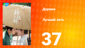 Лучший зять 1 сезон 37 серия