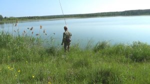 Рыбалка 16 июня на удочку на поплавок за плотвой на озеро, красота!! и как там настил и деревья..