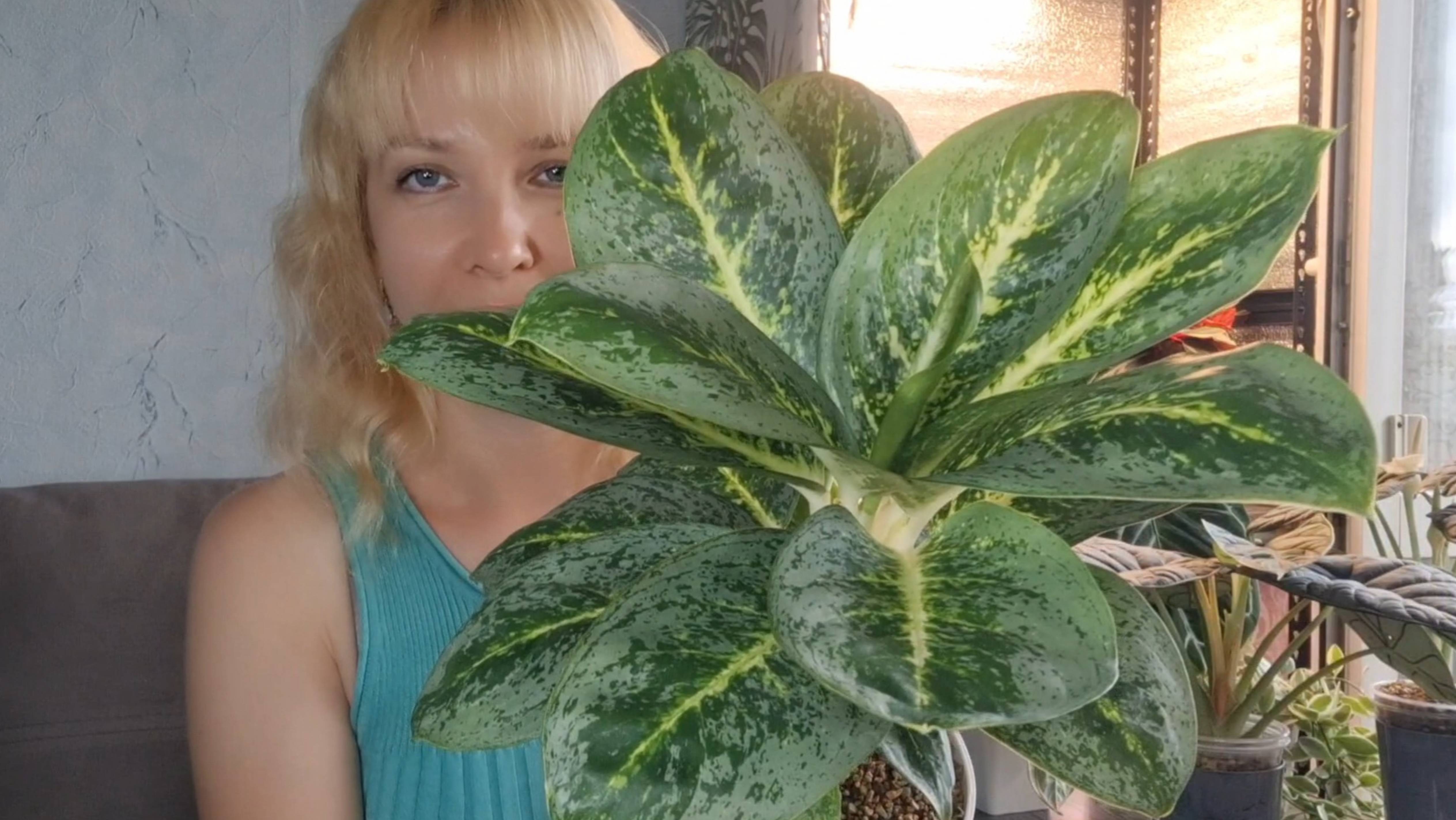 Летний обзор моих любимых растений смотреть онлайн