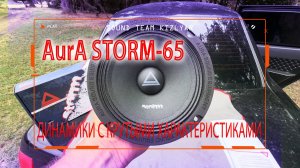 Бюджетные эстрадные динамики с крутыми характеристиками! AurA STORM-65