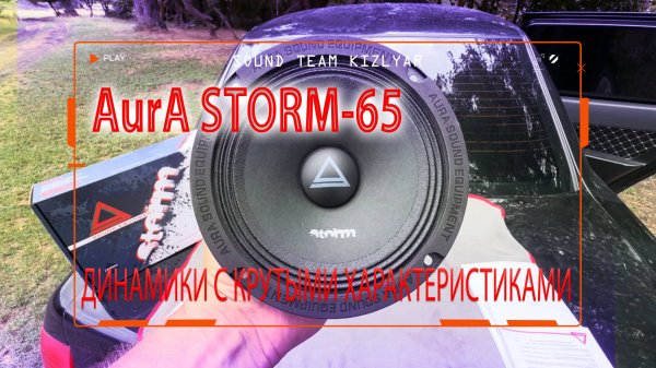 Бюджетные эстрадные динамики с крутыми характеристиками! AurA STORM-65