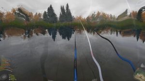 СОЛНЕЧНИК СИНЕЖАБЕРНЫЙ ТРОФ - ЛОСИНОЕ ⭐ РУССКАЯ РЫБАЛКА 4 |  RUSSIAN FISHING 4@Z-B-G