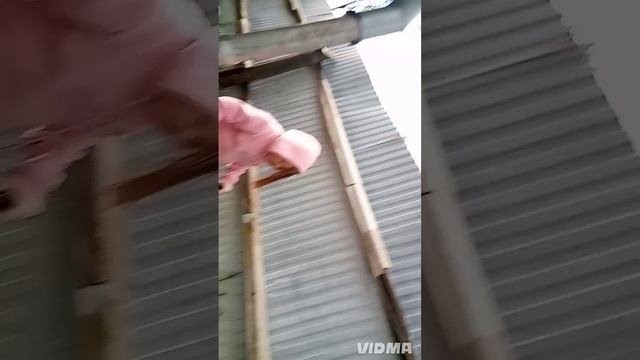 типичные лп 2 серия 2 сезона смотреть онлайн