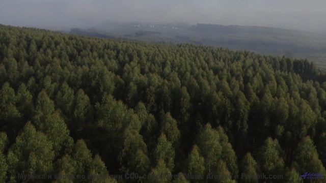 Почему эти кадры ПОД ЗАПРЕТОМ - Next Station Stop Mars (ID 1409) -- Lobo Loco -- Spaceforce OMEGA