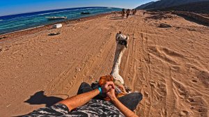 2005 ВЕРБЛЮД - ТЕСТ-ДРАЙВ ОТ ПЕРВОГО ЛИЦА