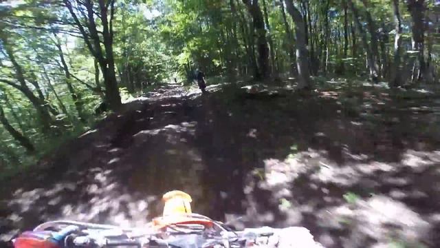 Адыгея июнь 2020