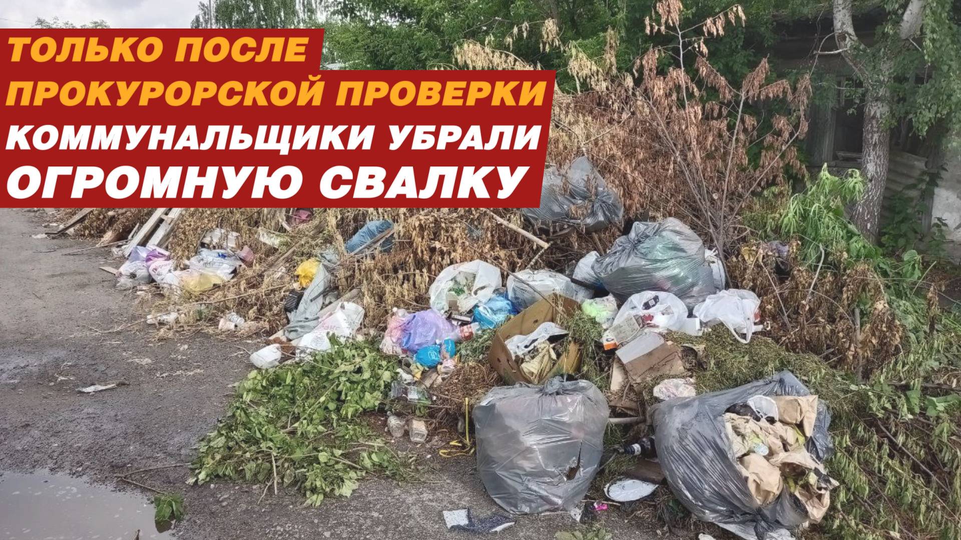 Только после прокурорской проверки коммунальщики убрали огромную свалку! смотреть онлайн