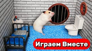 БОЛЬШОЙ СЕКРЕТНЫЙ ЛАБИРИНТ с ЛОВУШКАМИ для УМНОГО ХОМЯКА ! Видео для детей