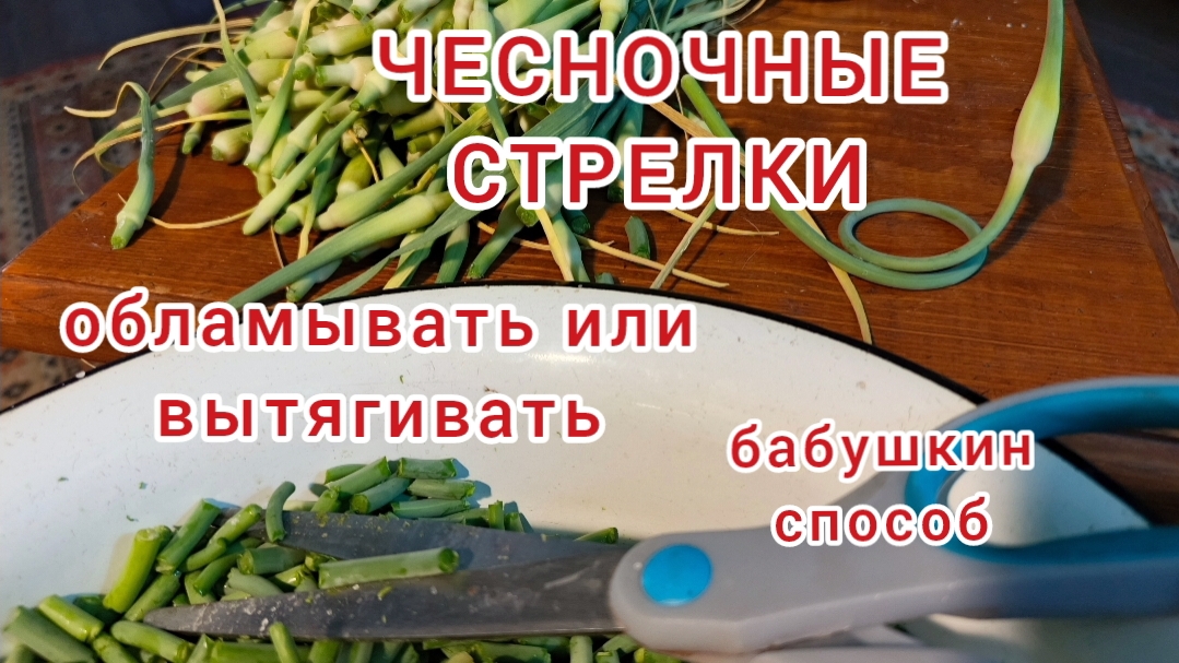 Чесночные стрелки.Вкусно и полезно смотреть онлайн