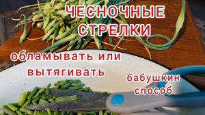 Чесночные стрелки.Вкусно и полезно