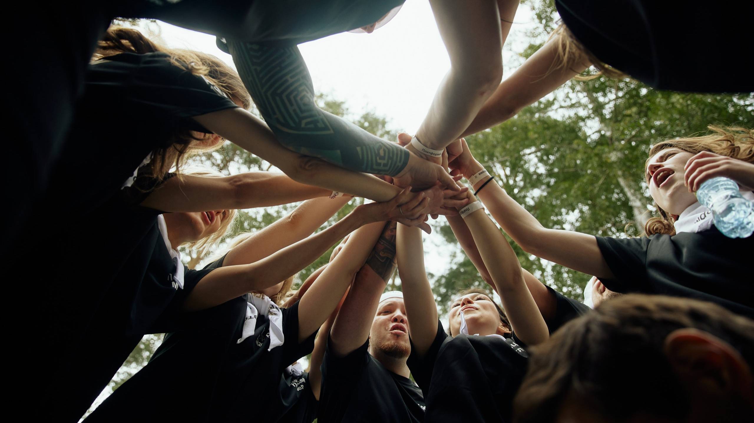 AVLN |  10 лет компании