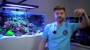 СЕКРЕТЫ БЫСТРОГО РОСТА КОРАЛЛОВ В АКВАРИУМЕ