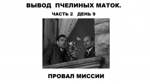 Вывод маток часть 2, в этот раз не получилось