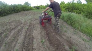 прополка картошки ежами на мотоблоке мтз