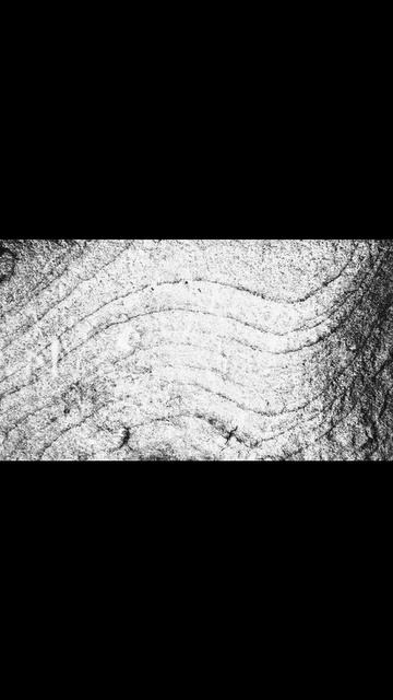 Природа не соперничает