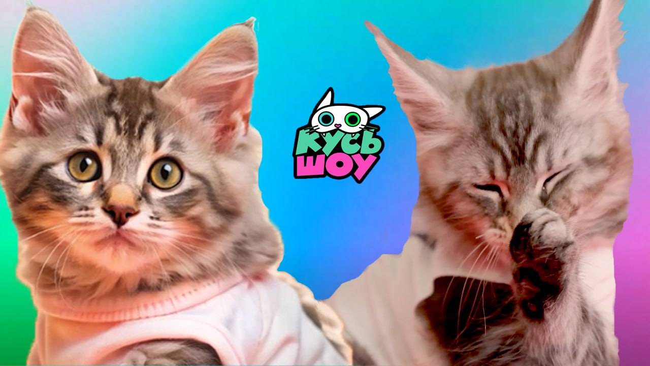 Челленджи VS Фудчелленджи — Кусь-шоу — Захватывающие приключения питомцев