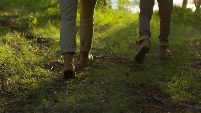 Этот лес НАУЧИЛСЯ говорить. - Imprinter -- Chad Crouch -- Arps II