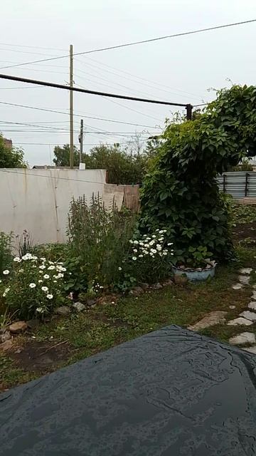 Начался сезон дождей,обещают дожди до конца месяца.