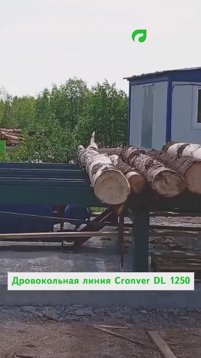 Дровокольная линия Cronver DL 1250 до 15 куб м в час смотреть онлайн