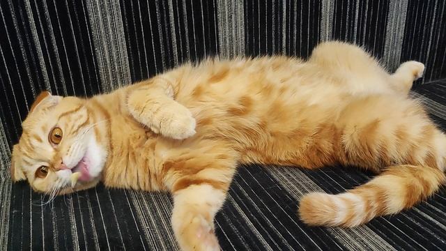 А по мне хоть брёвна ворочать, лишь бы лёжа. смотреть онлайн