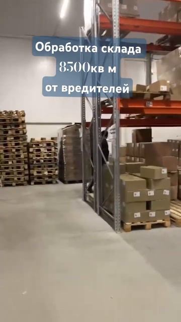 Борьба с грызунами на пищевом складе. Пест-контроль. ЭКОКОНТРОЛЬ. Dez-delo.ru