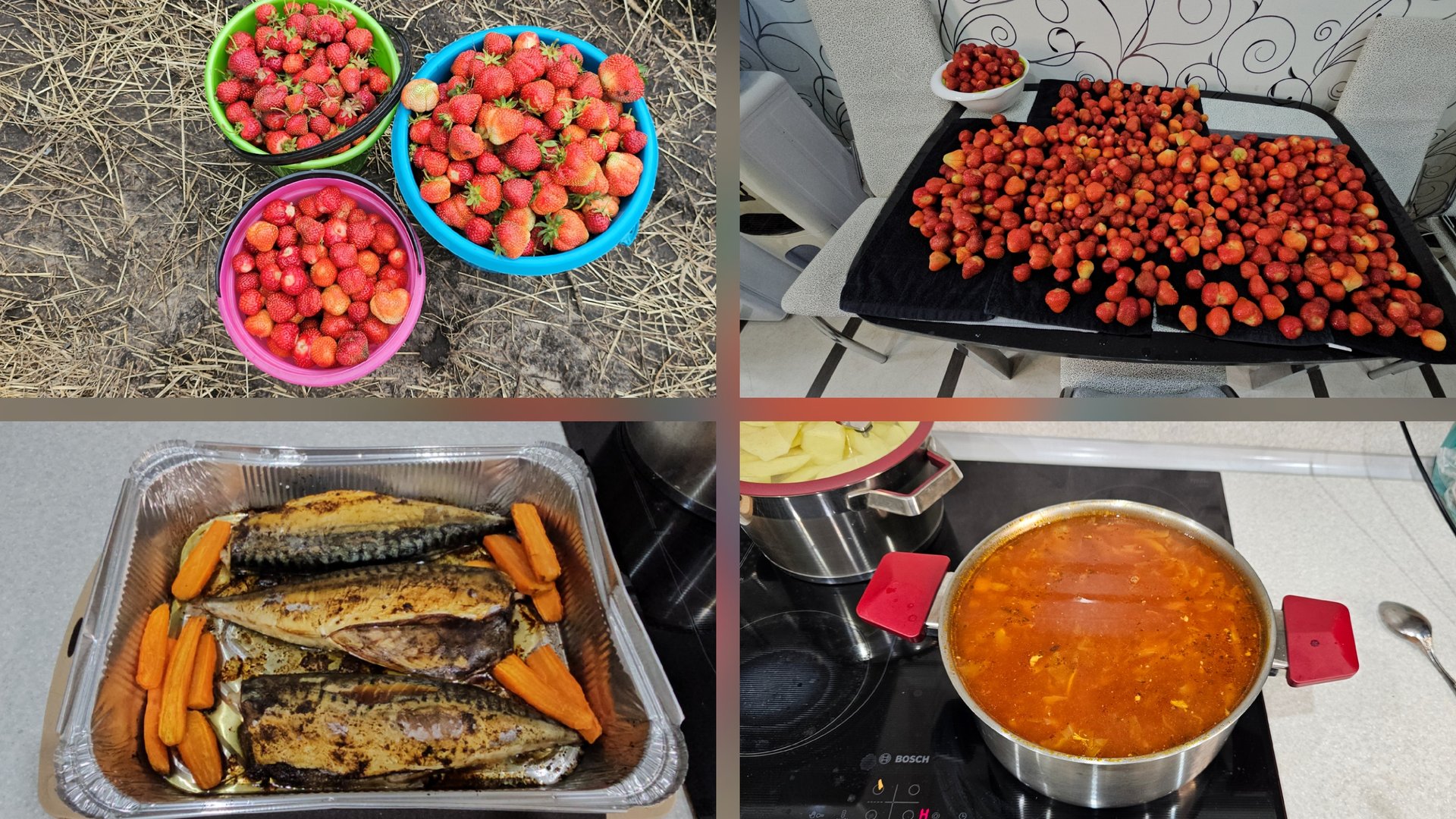 17.06.2025 г Самосбор земляники садовой/ Набрали клубники/ Сварила борщ/ Скумбрия в духовке смотреть онлайн