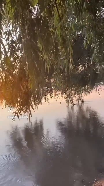 #мамаотличника смотреть онлайн