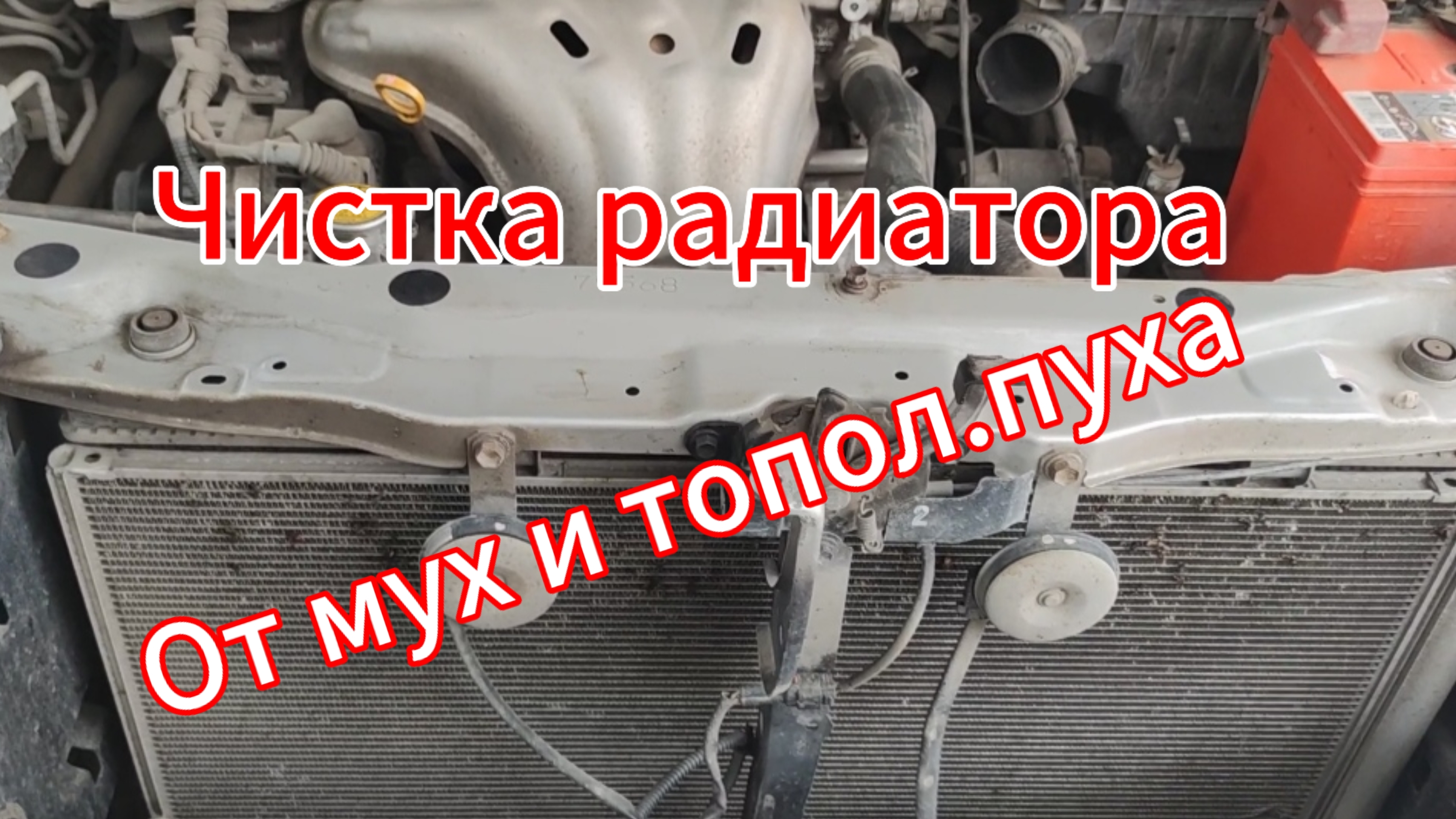 Чистка радиатора автомобиля от насекомых, тополиного пуха и пыли смотреть онлайн