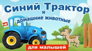 Синий трактор и домашние животные! | Мультики для малышей
