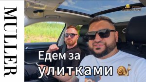 Едем за улитками Мюллер! 🐌 Приключение, ферма мечты и секреты бизнеса!