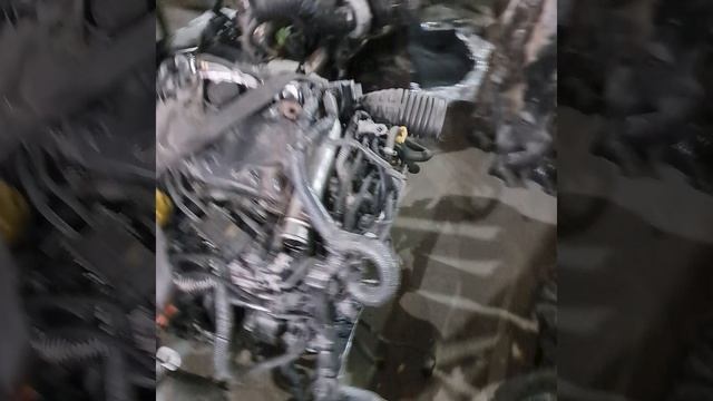 1000268396.mp4 m9r смотреть онлайн