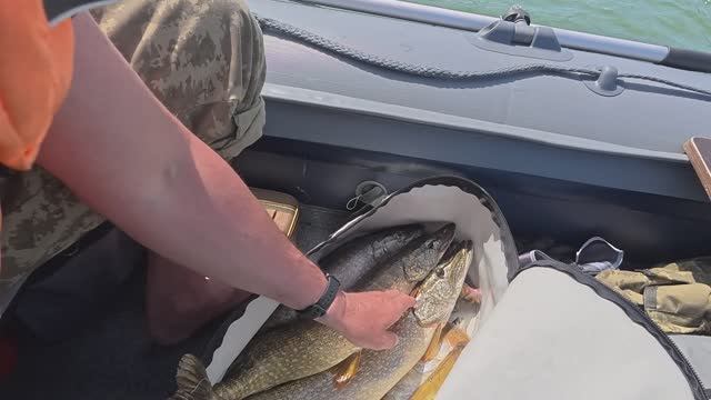 Озеро Сугояк. Открытие лодочного сезона 2025 смотреть онлайн