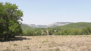 Короткие Крымские сюжеты.