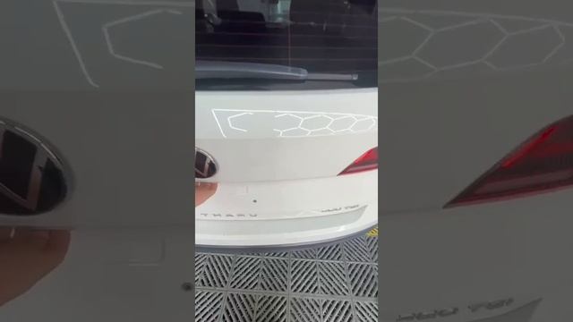 осмотр салона после мойки и химчистки