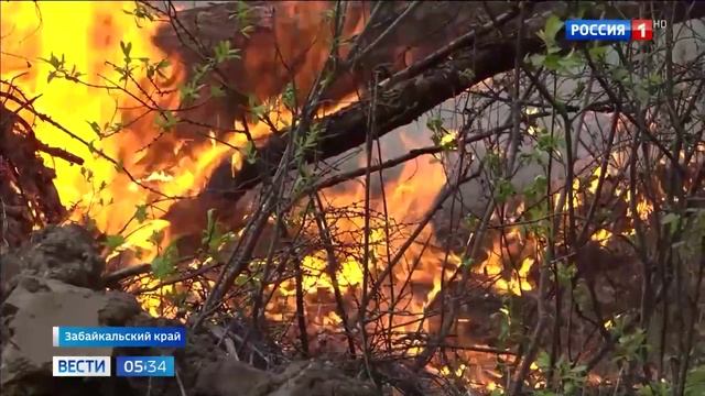Россия1, Борьба с пожарами на Дальнем Востоке, 17 июня 2025 смотреть онлайн