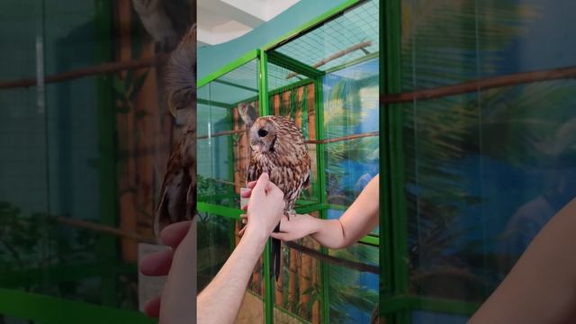 Нижний Новгород. 16 июня 2025. Путешествие по России. смотреть онлайн