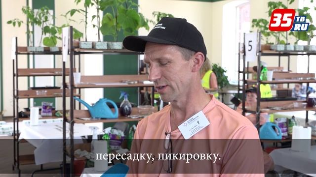 Вологодские овощеводы борются за звание лучшего по профессии смотреть онлайн