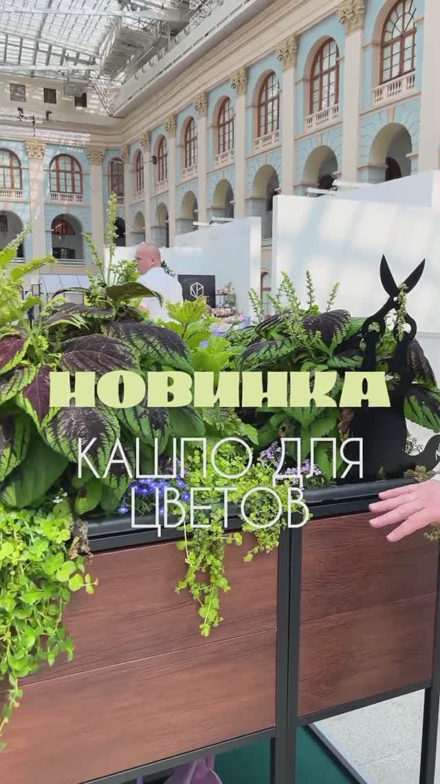 Кашпо от «Красивой грядки» — спасение для тех, кто любит экспериментировать с интерьером своего сада смотреть онлайн