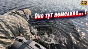 Оно тут немелкое. ЩУКА на спиннинг с лодки 2025
