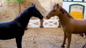 Полицейская машина преследует угонщика | полицейские машины мультфильм | BIBO и Игрушки