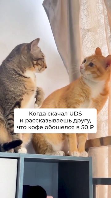 Ты знаешь, что в некоторых компаниях оплатить бонусами можно 100% от чека? 🧐

#uds #мем