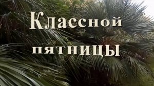 Классной пятницы! Доброе утро, счастливый мой день!