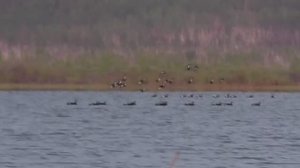 ОХОТА НА ТУРПАНА В ЯКУТИИ, МЫРЫЛА 2023