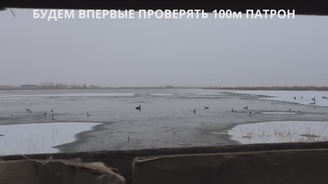 ОХОТА НА УТКУ ПОЗДНЕЙ ОСЕНЬЮ в ЯКУТИИ 2023. Чубарые подсадные утки смотреть онлайн