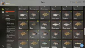 ЛУЧШЕЕ ОЗЕРО ДЛЯ НОВИЧКОВ В РУССКОЙ РЫБАЛКЕ 4 РР4 ОБЗОР ОЗЕРО ЛОСИНОЕ ФАРМ ТОЧКИ И ПРОКАЧКА ОПЫТА