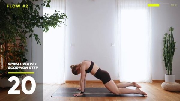 Build 3 Mobility Flows in 15 Min. _ Full Body _ DAY8 - OWN EVERY MOVE