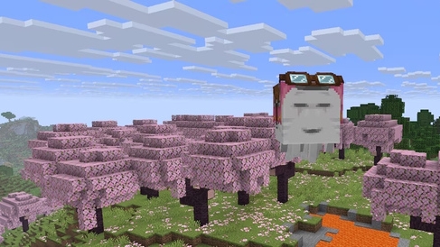 НОВЫЙ СНАПШОТ 1.21.6 МОЙ ПОЛНЫЙ ОБЗОР смотреть онлайн